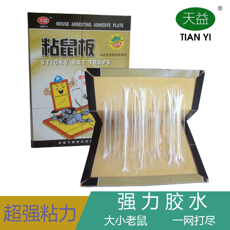 ������TS-801ճ